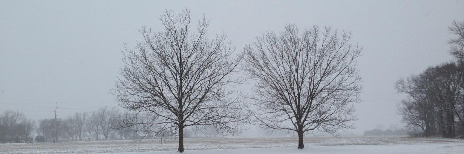 SLegit1977's profile banner image