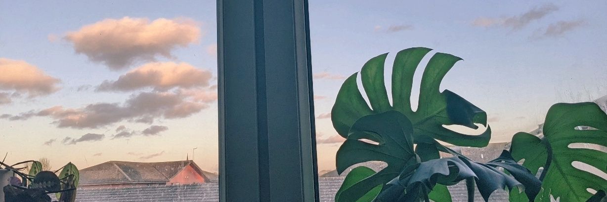 extrasupermolly's profile banner image