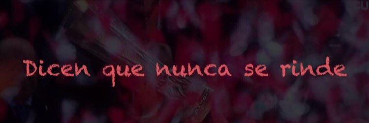 PatriciaDelVal8's profile banner image