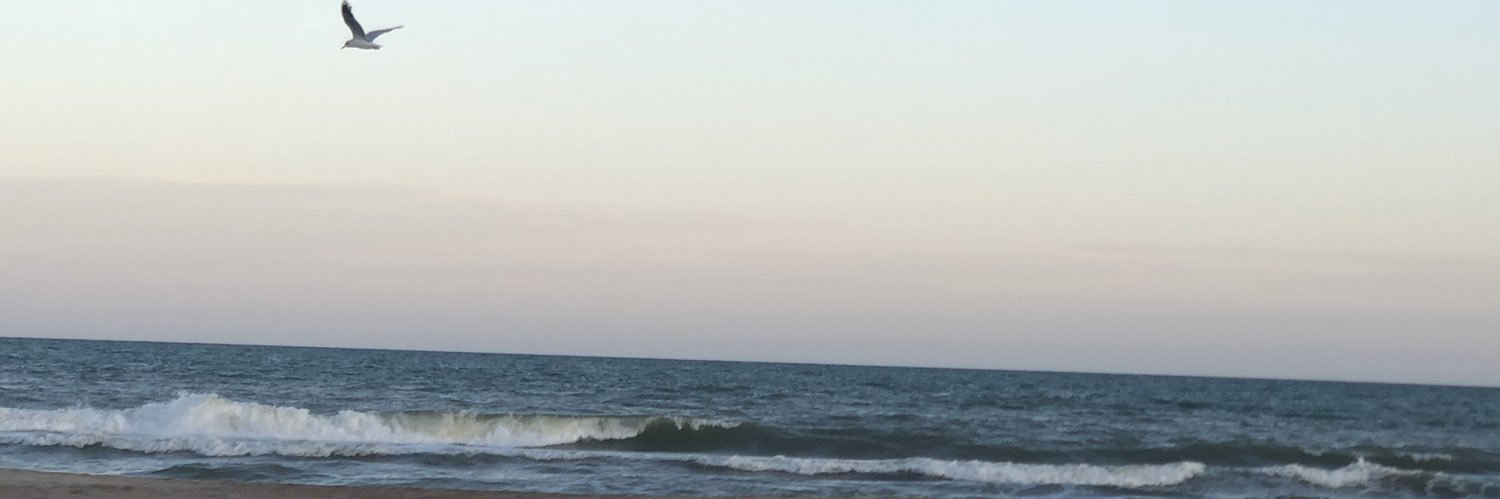 mariasol_va's profile banner image