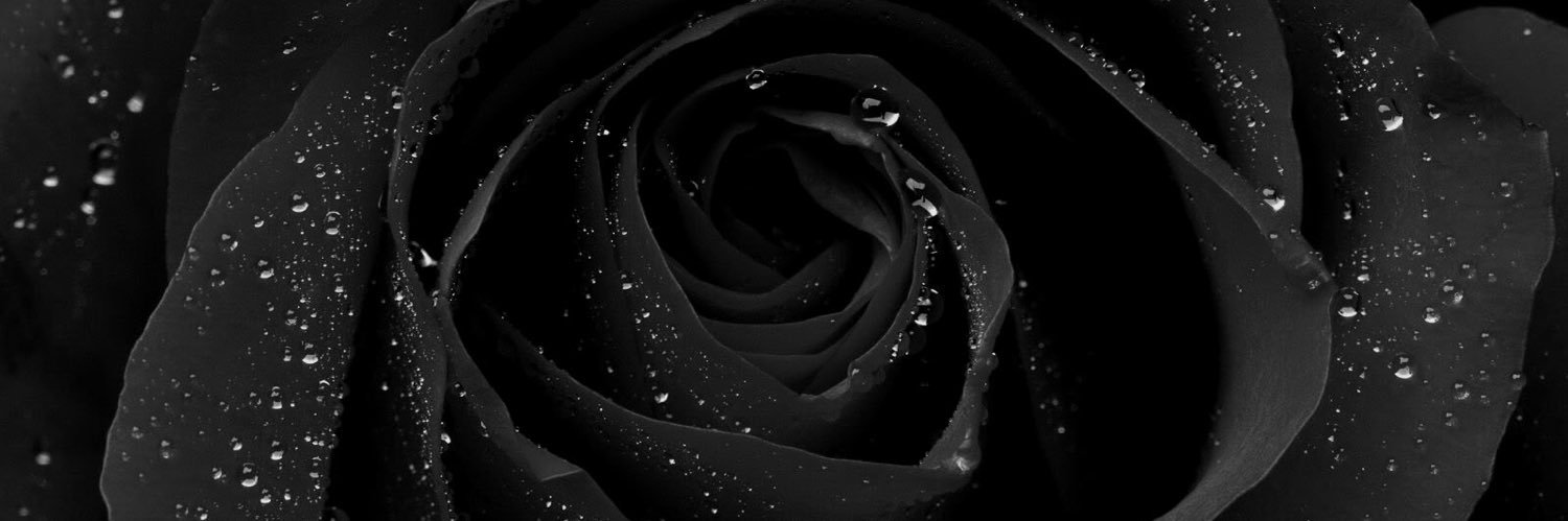 whotooksulaiman's profile banner image
