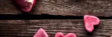 CICKA 4ever banner
