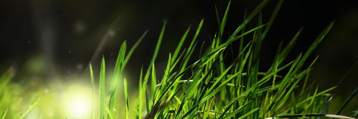 Nd76Das's profile banner image