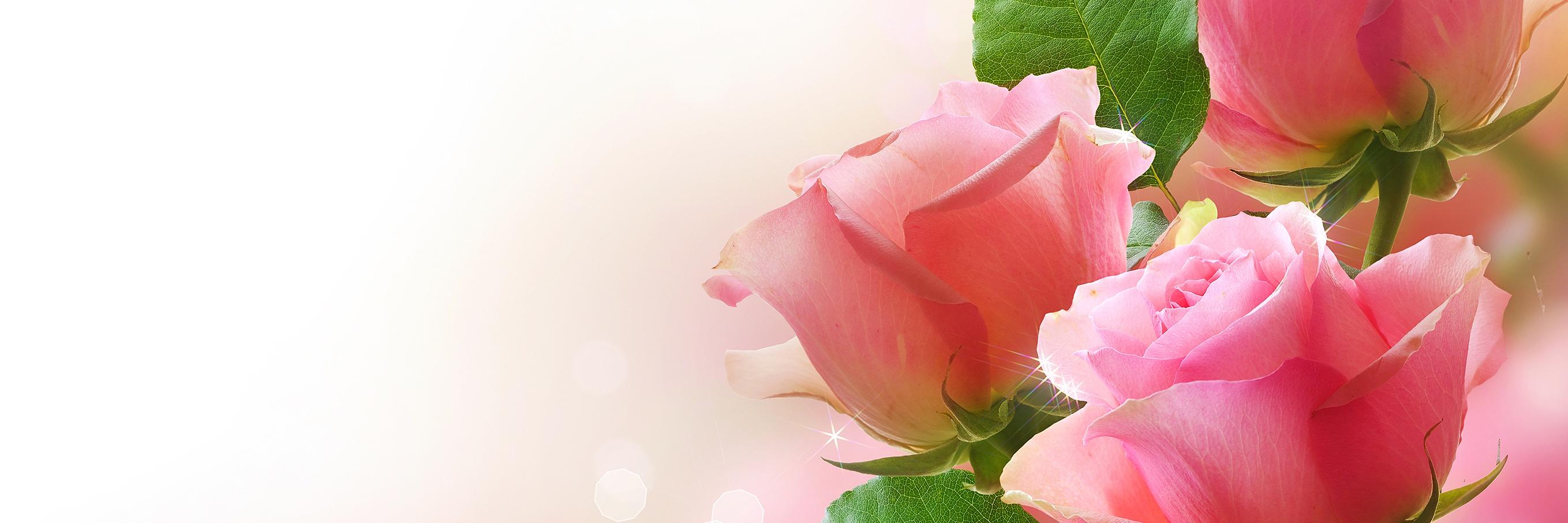 bavishni's profile banner image