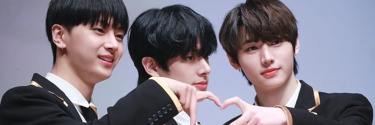 🍓 🐩🐈‍⬛ banner