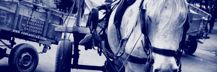 BastadeTaS's profile banner image