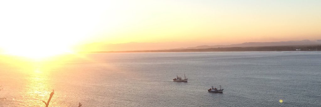 Felpaue's profile banner image