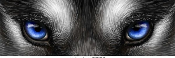 Strategist_62 Profile Banner