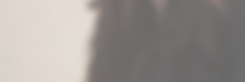 anaiseorgdr's profile banner image