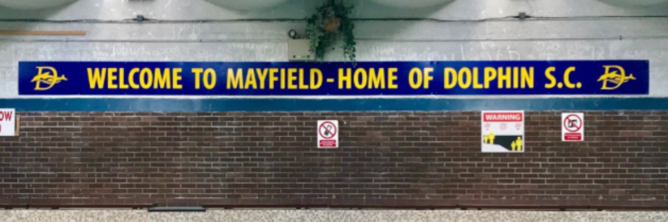 Dolphin Swim Club banner