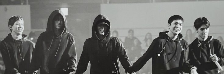 ᖰ🦊ᖳ banner