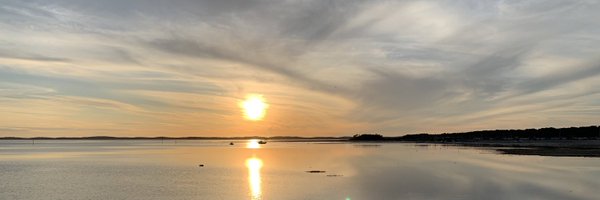 mataczynski1 Profile Banner