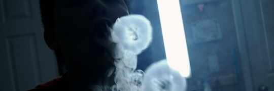 LilyanSchembri's profile banner image