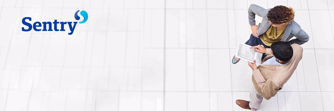 Laura_Sentry's profile banner image