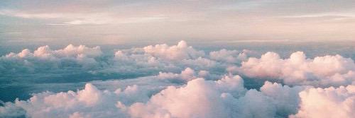 Georgia Whybird banner