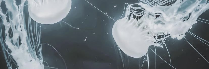 Sephy_96's profile banner image