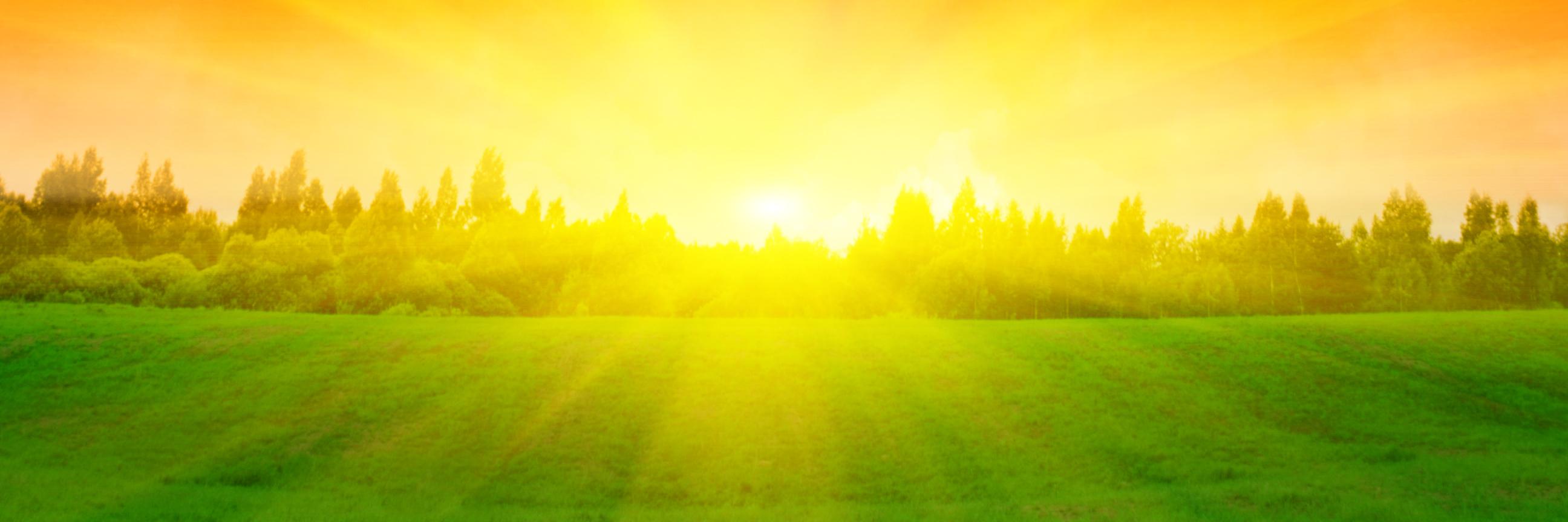 sunsetvalleygc's profile banner image