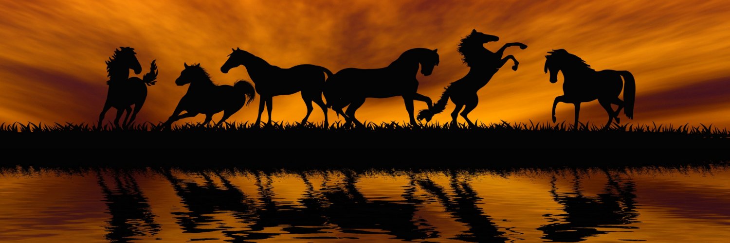 vashestvo's profile banner image