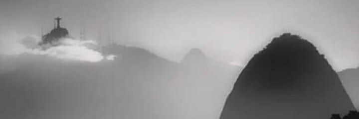 Claudia Araujo banner