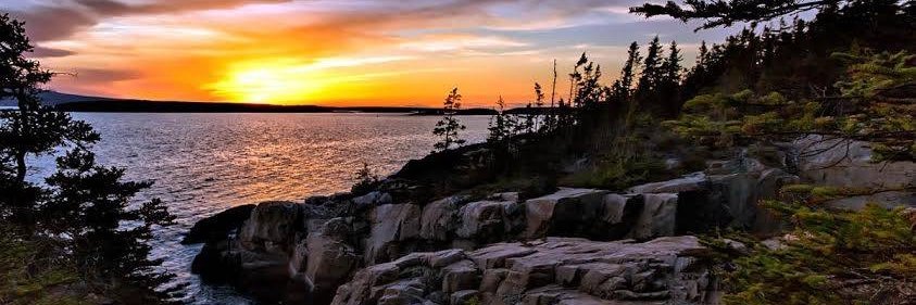 conservativecarpenter2🇺🇸 banner