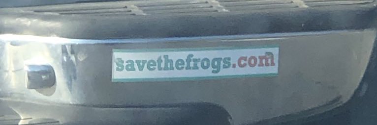 risotto broad banner