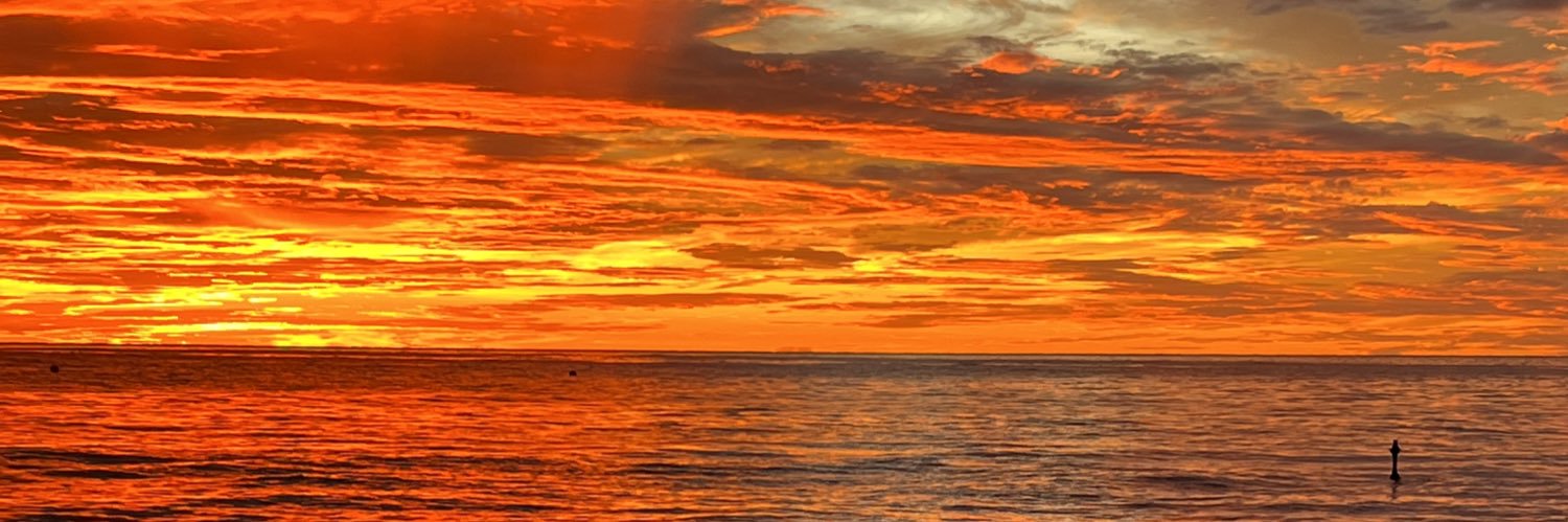 Colin Mannell banner