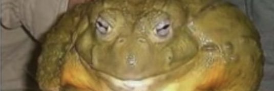 The_kidreckless's profile banner image