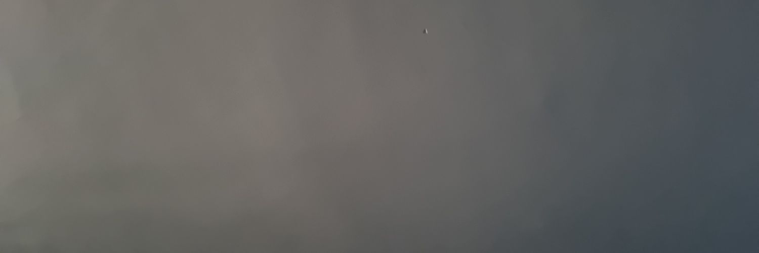 LandaTarantu's profile banner image