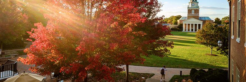 WFUonline's profile banner image
