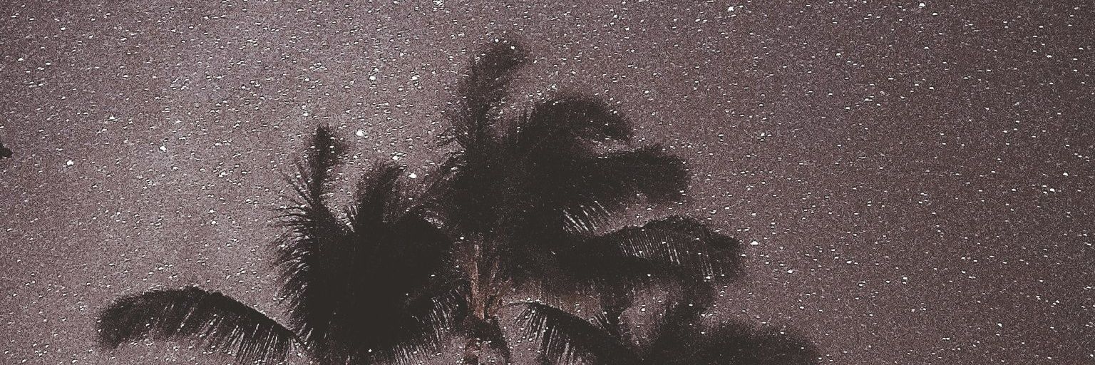 nedashka69's profile banner image