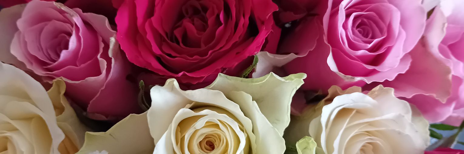 uchapman77's profile banner image