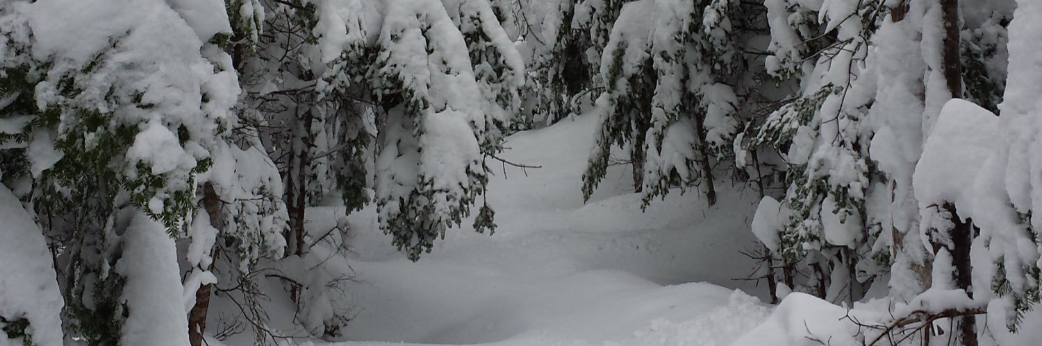 Information Morning banner