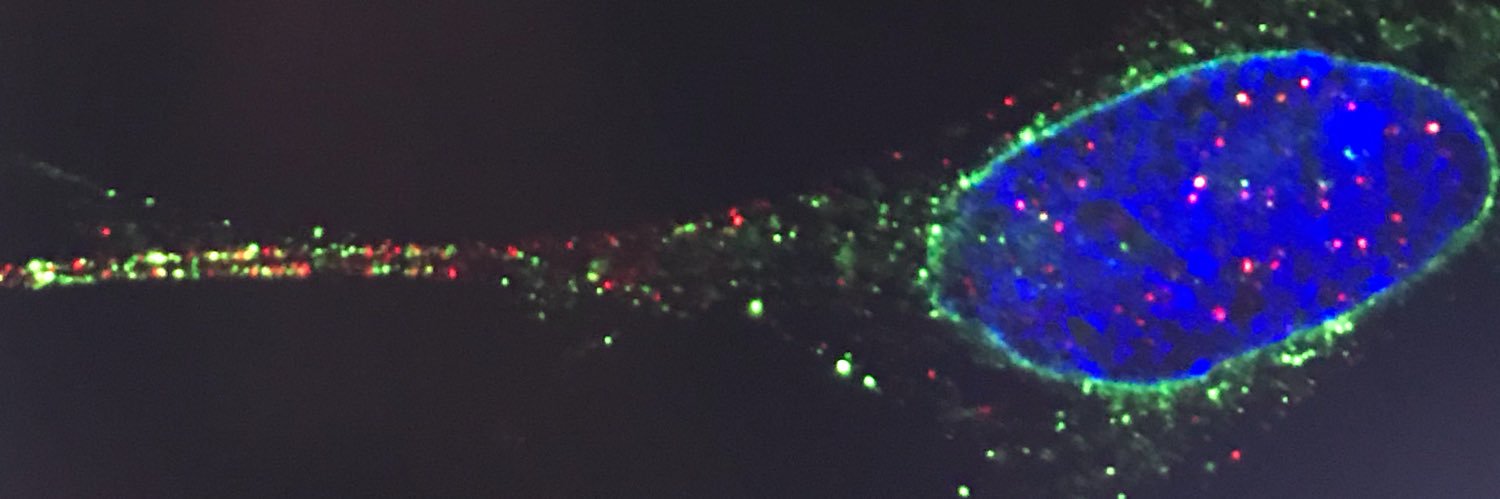 bamabiologist's profile banner image