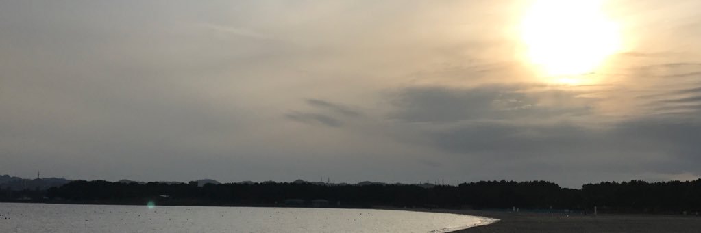 tongarashi_half's profile banner image