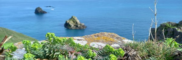 TorCoastCountry Profile Banner