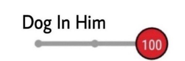 MacLikesStuff Profile Banner