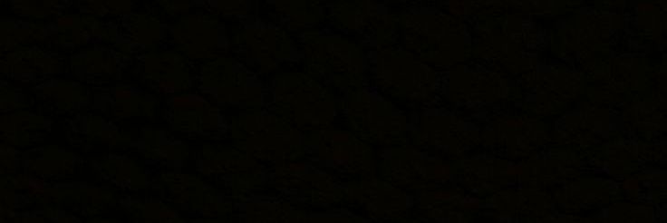 evan | WA only banner