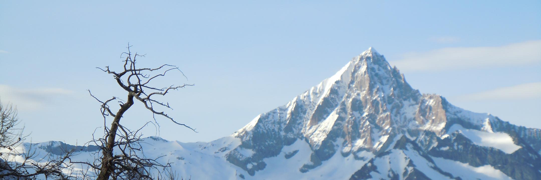 Abgochri's profile banner image