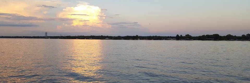 Todd Chappell banner