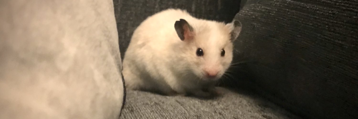 cminett's profile banner image
