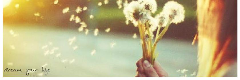 mouche141's profile banner image