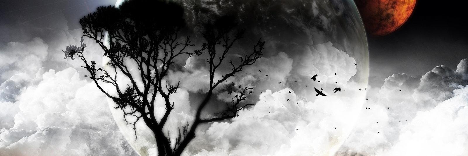 FunkyJunky77's profile banner image