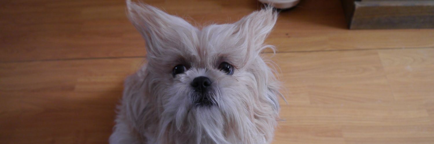 Andy Sheppard banner