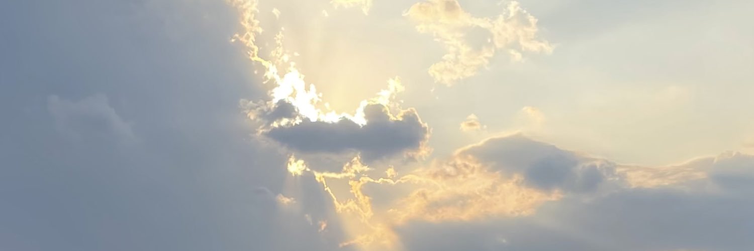 Raindolly🪼(slow) banner
