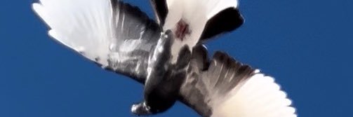 Bo_Adnan76's profile banner image