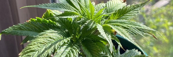 kburnside77 Profile Banner