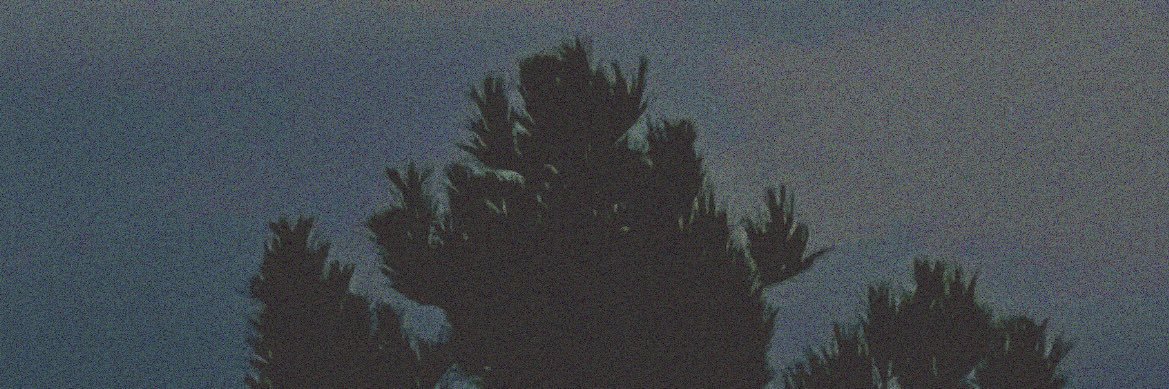 nobojju's profile banner image