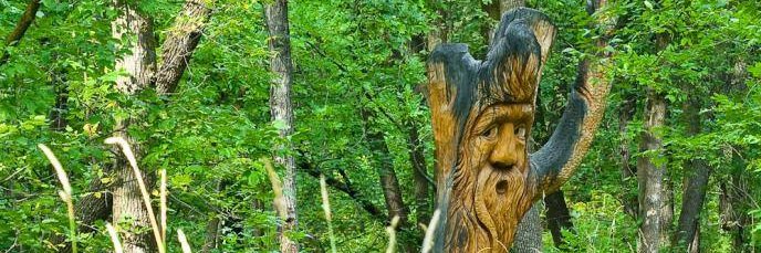 Save Our Seine banner