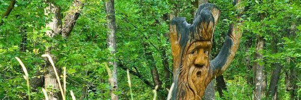 SaveOurSeine Profile Banner