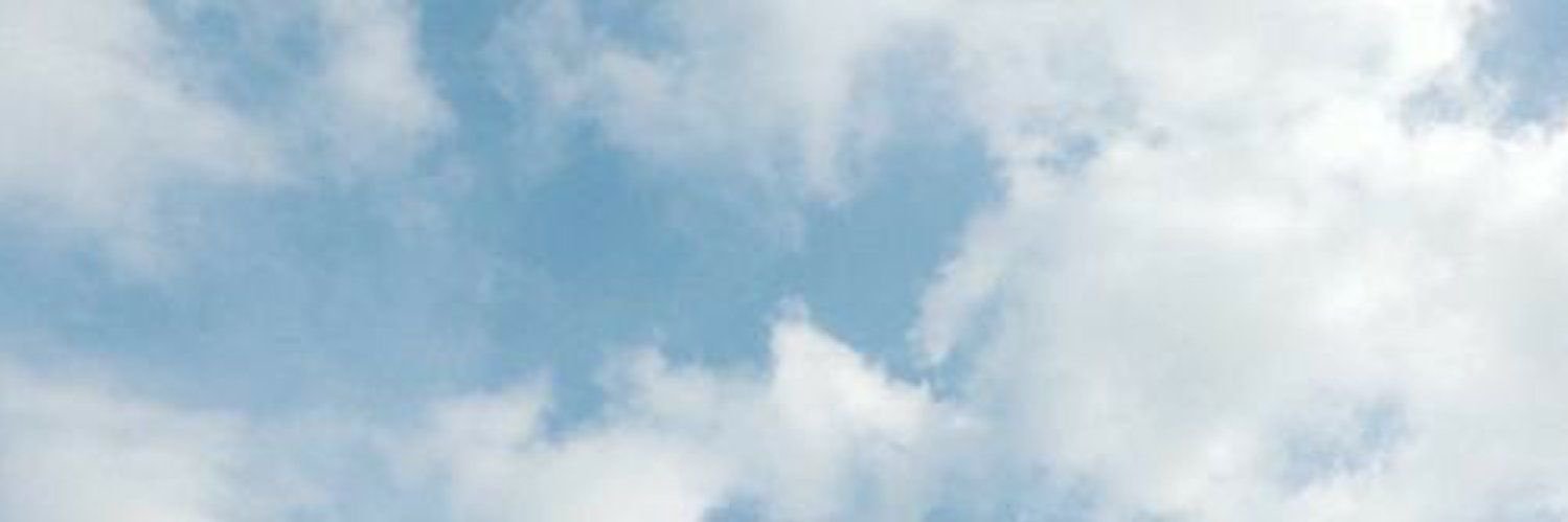 madisoncbarness's profile banner image